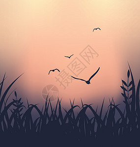莺飞草长长有草和飞翔海鸥的风景插画