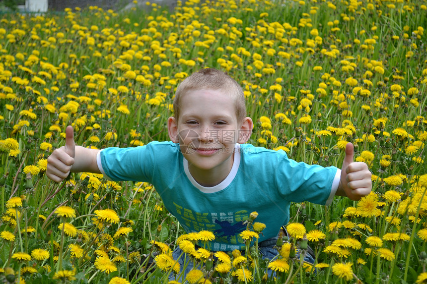 男孩在荒野中的空地上男生花朵孩子年轻人植物杂草草本植物图片