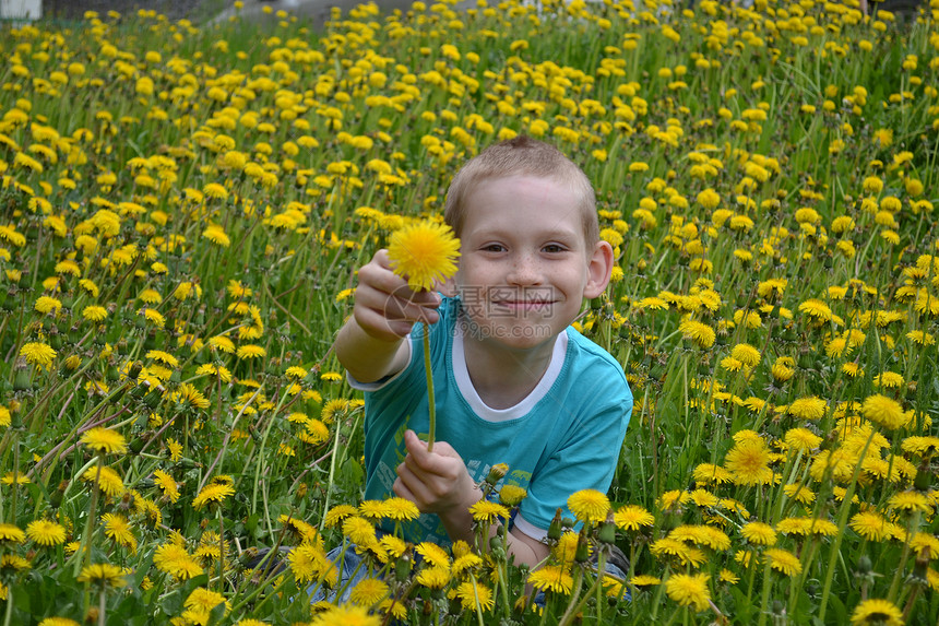 男孩在荒野中的空地上男生杂草孩子草本植物植物年轻人花朵图片