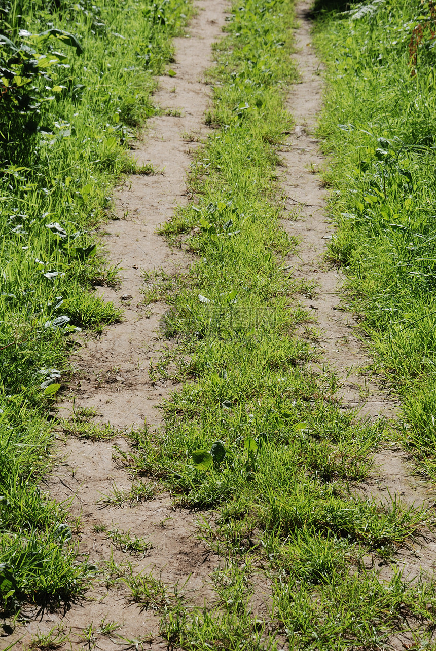 夏季的路径国家植物旅行环境场地农村车道绿色乡村叶子图片