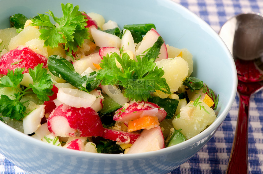 新鲜蔬菜沙拉叶子饮食食物美食收藏黄瓜团体水果小吃午餐图片