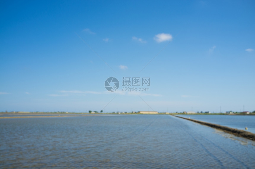 Ebro delta 地貌河口自然保护区稻田农村自然公园水平农场农业农田图片