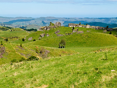 霍克斯湾农场地貌景观场景 Hawkes Bay 新西兰荒野牧场农村崎岖丘陵环境孤独风景编队农业背景