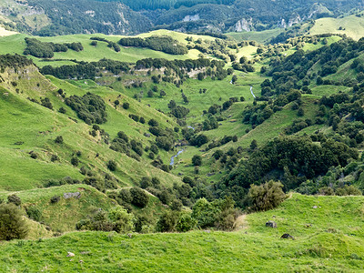 农场地貌景观场景 Hawkes Bay 新西兰丘陵地形编队环境荒野岩石农业山坡农村背景