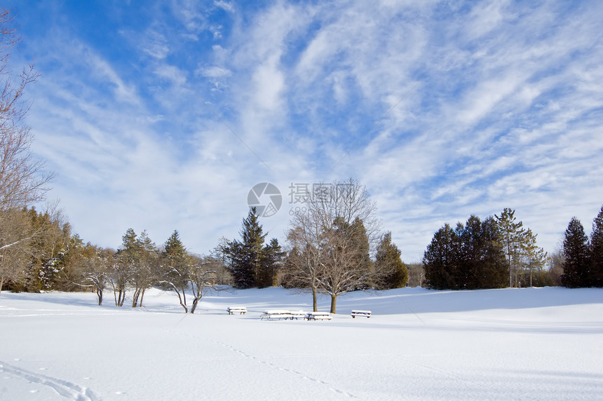 冬天天空太阳树木白色阴影日落地平线桌子阳光照射图片