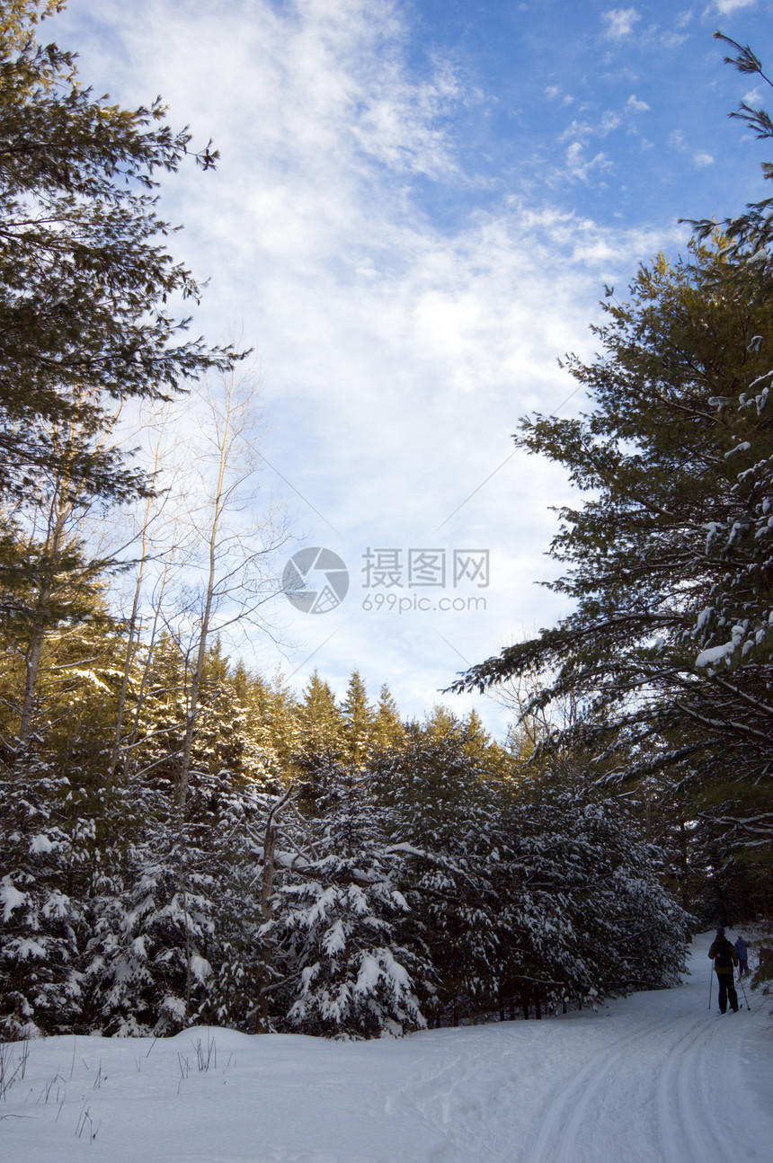滑雪车轨阳光照射白色阴影树木太阳天空森林木头曲目图片