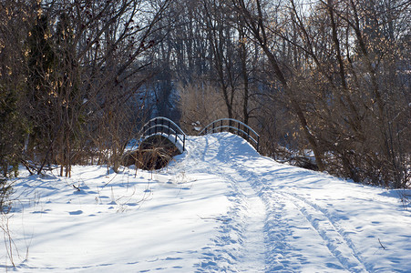 多伦多公园灰色小路阴影日落雪花城市背景图片