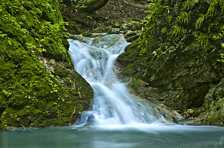 水瀑流动木头生态绿色植物森林岩石荒野公园瀑布石头图片