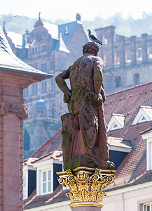 德国海德堡市广场的赫拉克勒斯雕像墙壁大力士城市旅游旅行城堡景观建筑学鸽子脖子背景图片