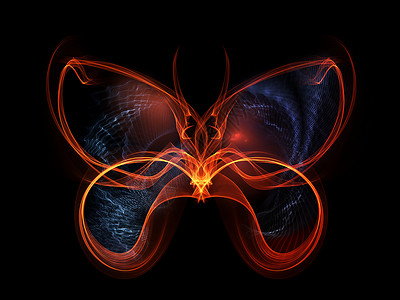 蝴蝶元素昆虫数学想像力创造力黑色轻轨翅膀背景图片