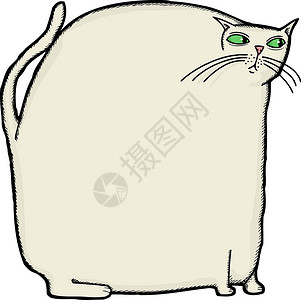 手绘白猫大型罐体背景