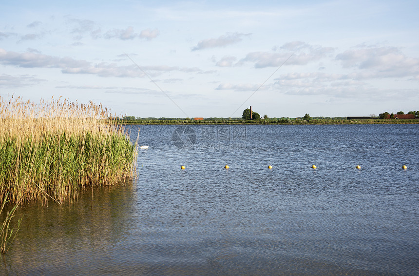 荷兰风景与水的纽尔德瑙沃浮标天空烟囱蓝色地平线牧场芦苇图片
