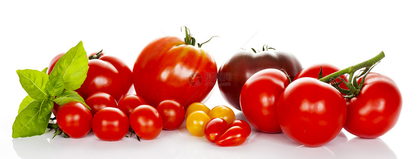 番茄加西红柿农业宏观市场蔬菜饮食烹饪全景花园生产食物图片