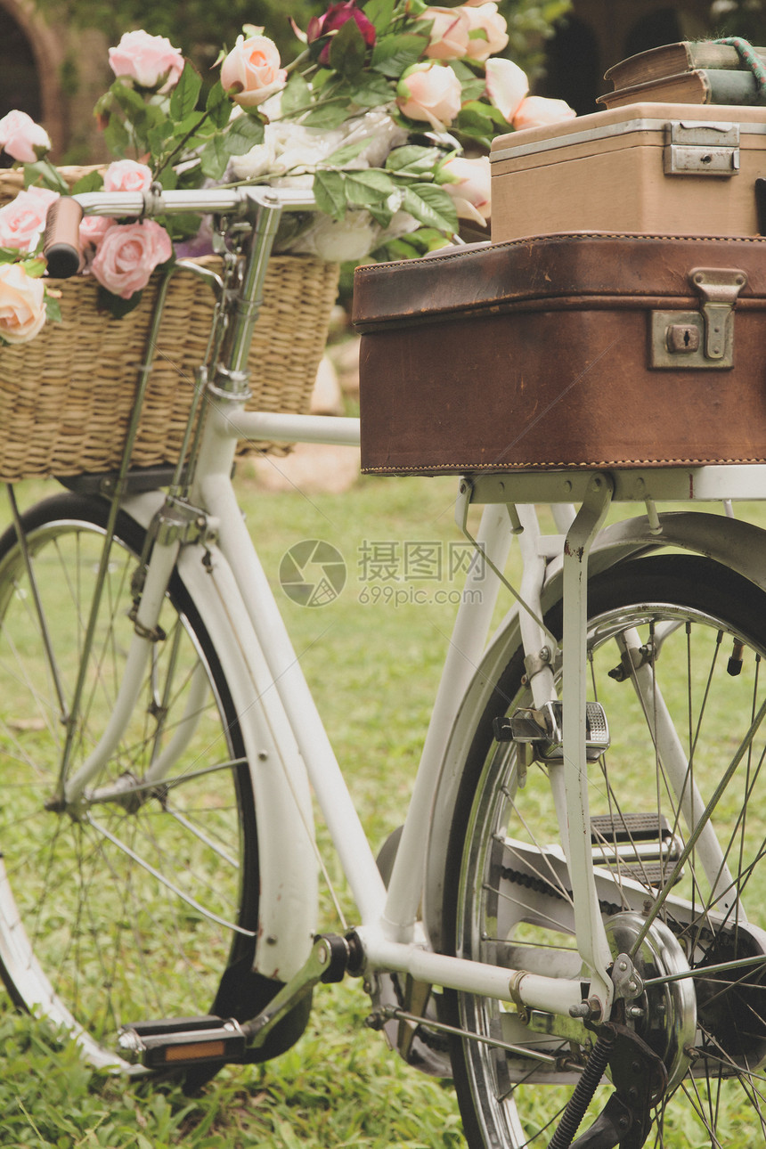 在田地上骑着一辆旧自行车 装着一个袋子绿色齿轮植物群车轮繁荣乡村花园白色草地运输图片