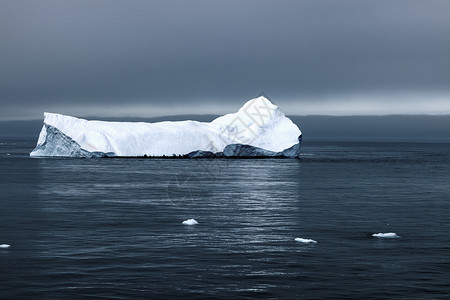 南极洲景观荒野白色旅行天空冰山反射背景图片