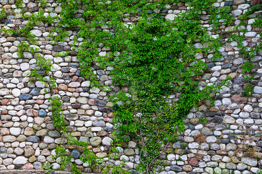 石墙壁背景公园植物农村季节场景叶子农业场地树叶草原图片