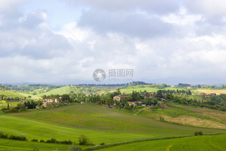 春季时典型的 tuscan 风景收成环境金子草地全景爬坡草原农田阴影农场图片