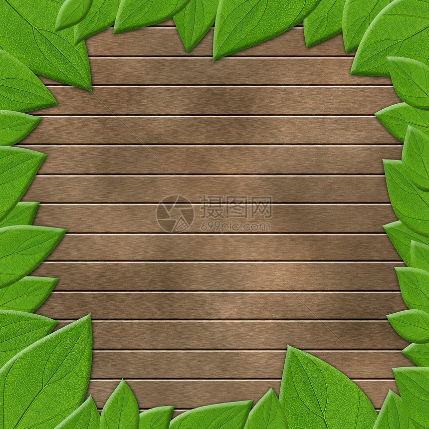 绿叶间木头艺术边界植物群环境生长墙纸风格季节装饰图片