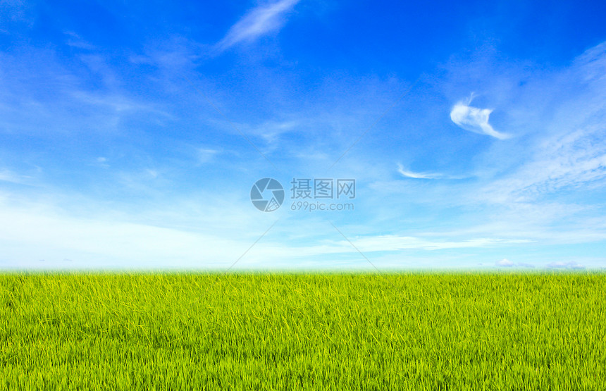 蓝色云层下的绿地 美貌自然背景图片