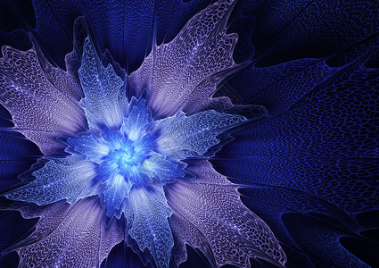 火焰抽象花朵蓝紫色花朵背景