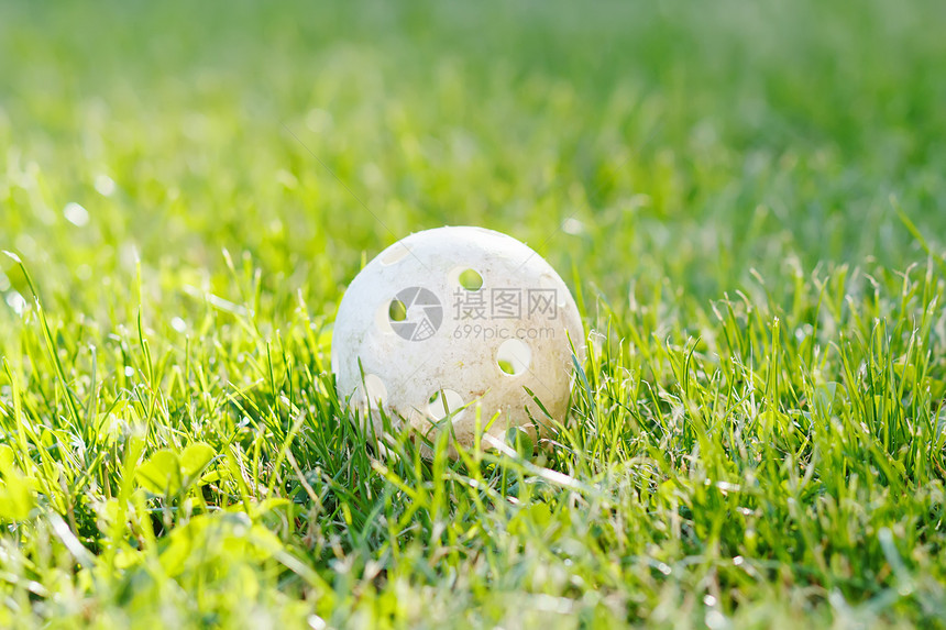 绿草中的地板球图片