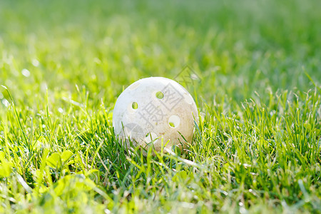 绿草中的地板球背景图片