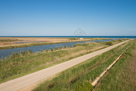 Ebro河口自然公园自然保护区水平保护区湿地背景图片