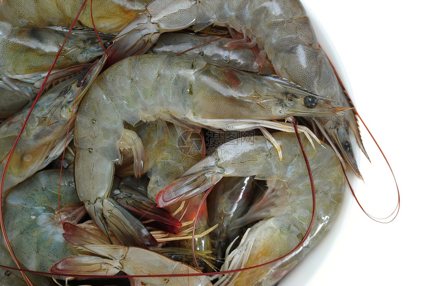虾 虾海鲜食物生食图片