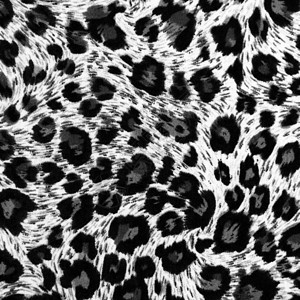 老虎结构棕色白色黑色荒野材料织物墙纸猎豹背景图片