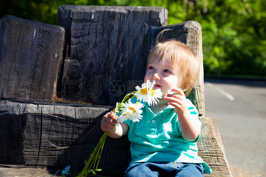 玩花花的男孩儿子操场花瓣木头椅子乐趣白色衬衫孩子们男生图片