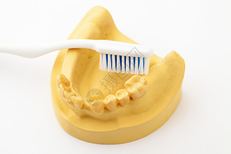 假牙和牙刷卫生保健牙齿医生牙科假肢白色假体矫正背景图片