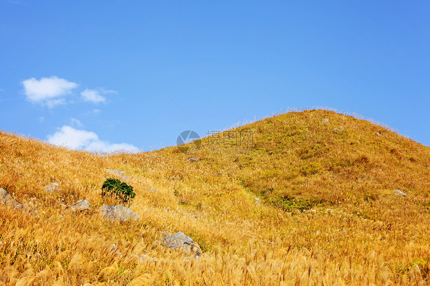 秋山植物爬坡乡村草原农村森林曲线草地岩石石头图片