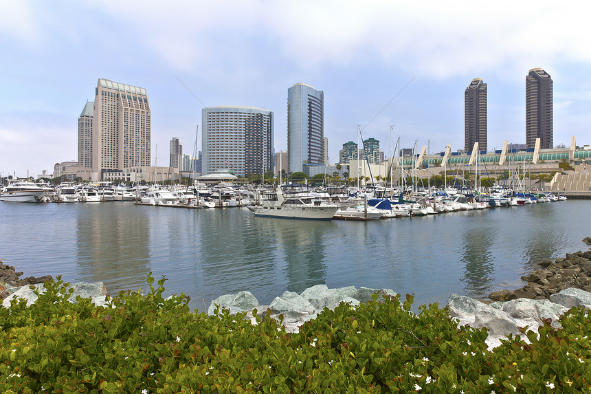 圣迭戈码头和市中心大楼摩天大楼城市中心帆船建筑学旅行植被旅游树木大都会图片