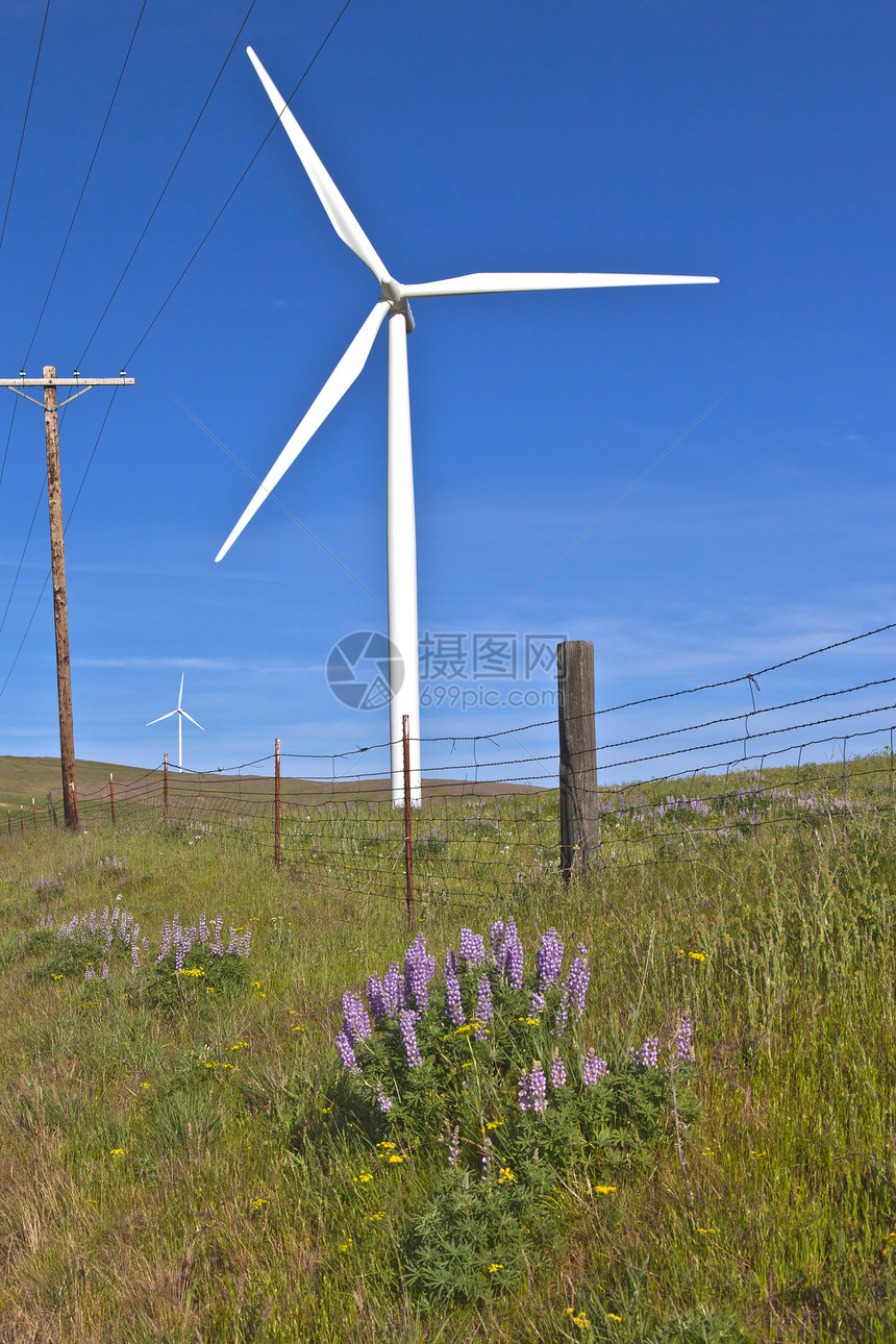 东华盛顿的风力涡轮草原力量电线杆技术能源花朵场地山坡电话线图片