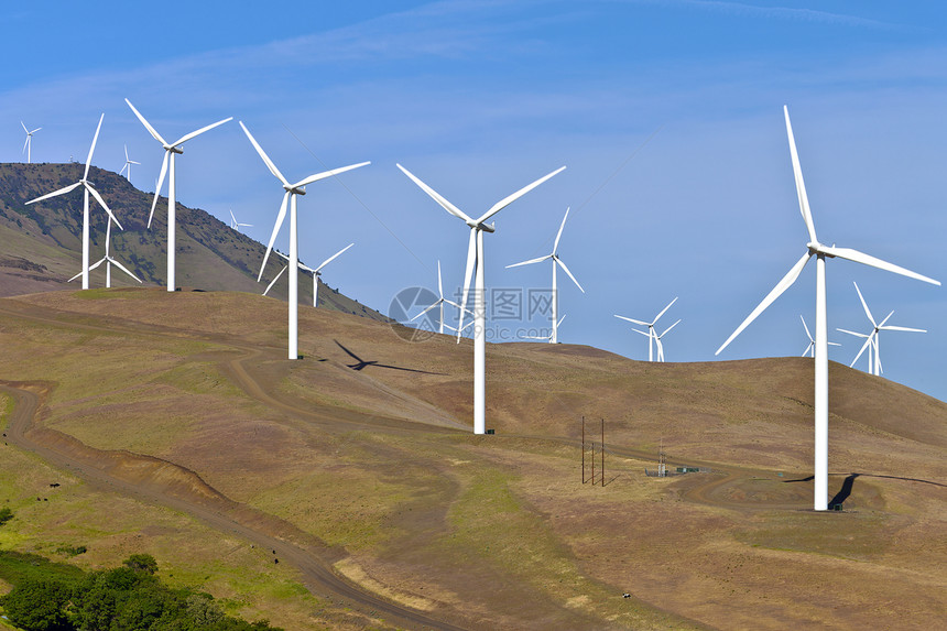 东华盛顿的风力场地涡轮技术花朵能源植被力量天空草原旋转图片
