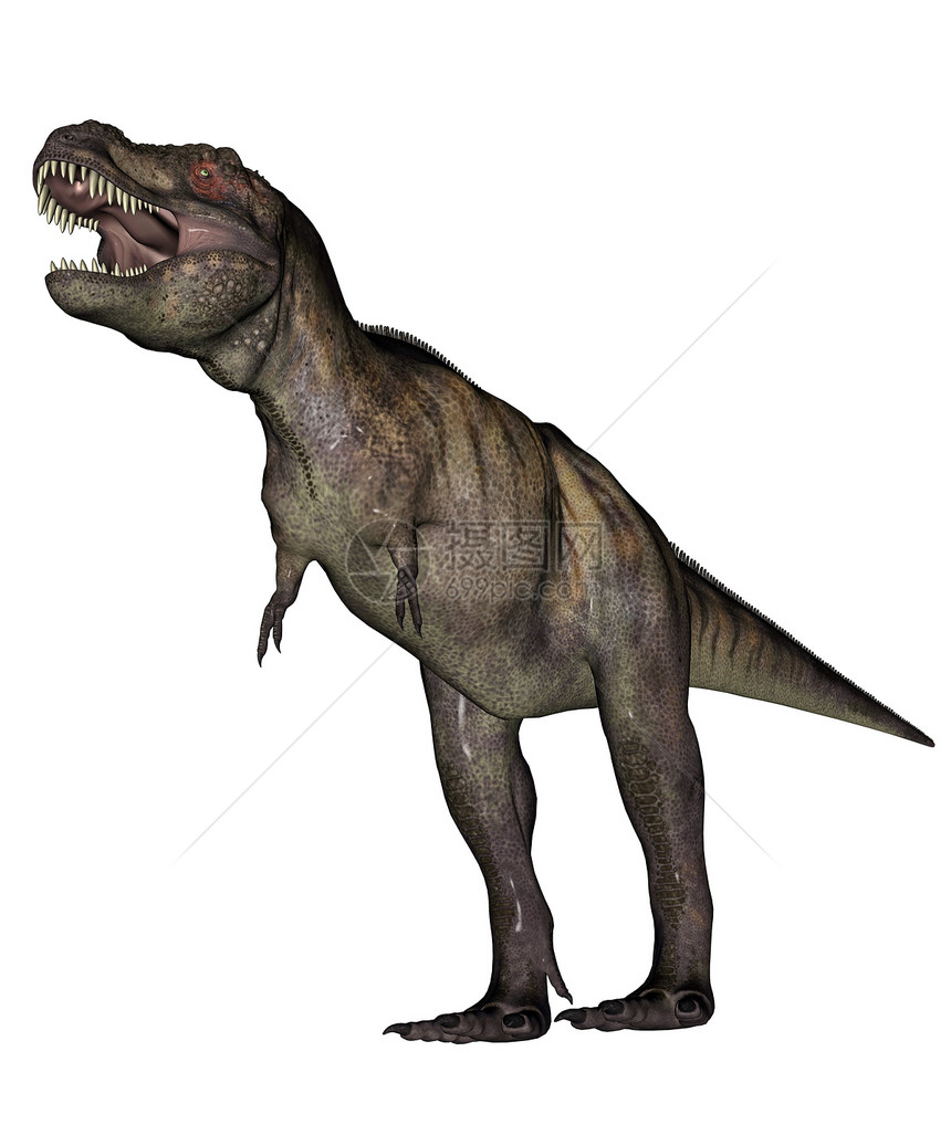 暴龙恐龙虚骨龙类灭绝白色力量生物怪物古生物学捕食者侏罗纪图片