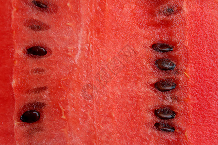新鲜西瓜块产品蔬菜农场饮食甜点工作室营养热带西瓜食物背景图片