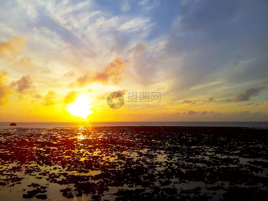 日落套反射假期旅行旅游闲暇石头珊瑚海岸树叶冲浪图片