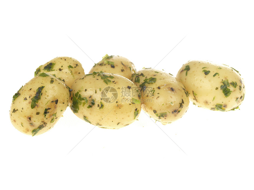 新煮土豆土豆白色成员食物薄荷球衣皇室图片