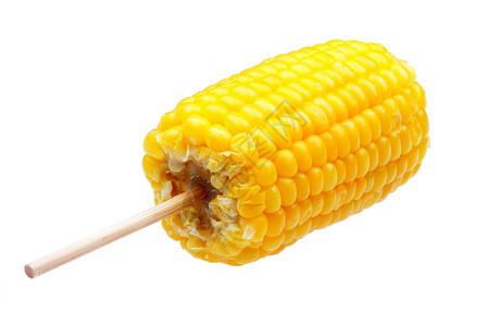 玉米在椰子上内核白色蔬菜玉米棒背景图片