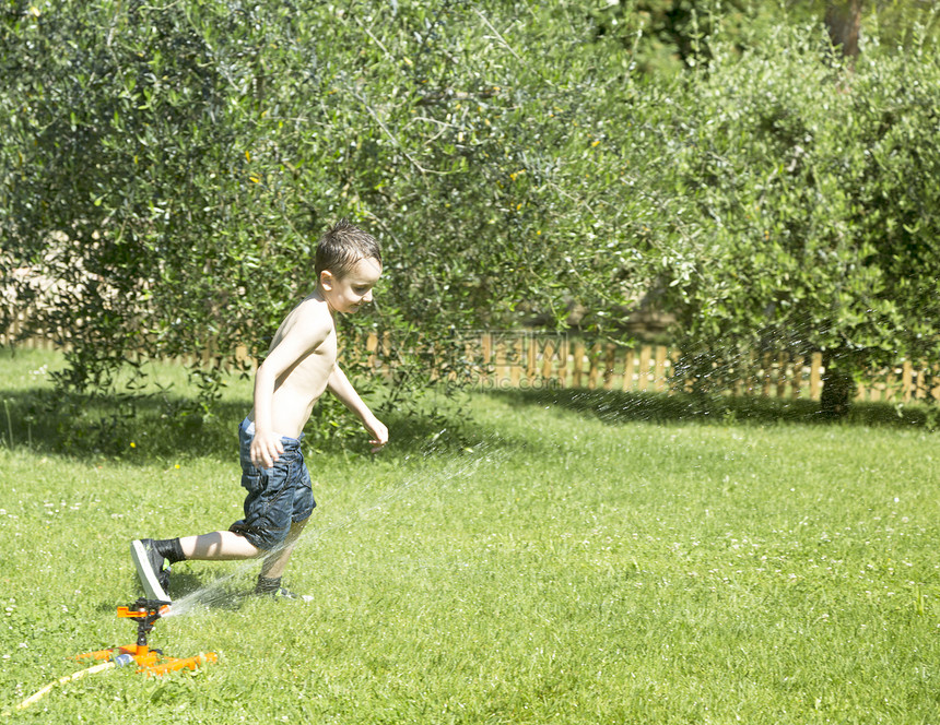 快乐的孩子在花园里玩水生活幸福软管晴天花园院子洒水器家庭喜悦乐趣图片