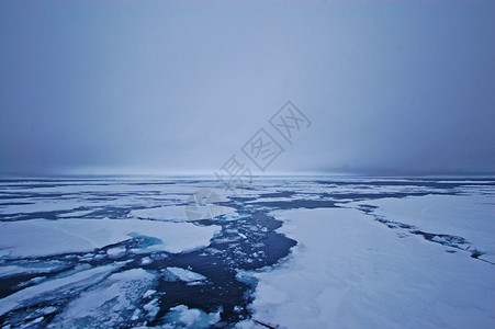 巴王海漂流冰背景