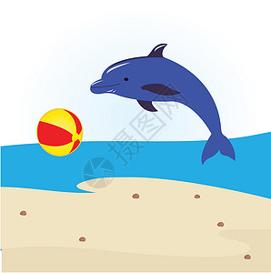 玩球的海豚生物脚蹼高清图片