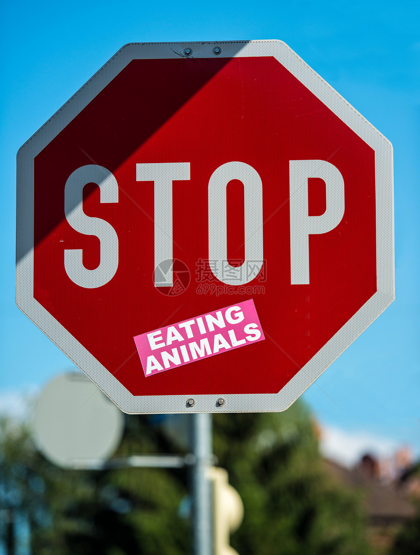 停止吃动物图片