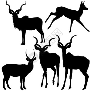 黑色剪贴画Antelope 太阳光环动物野生动物跳羚哺乳动物荒野剪影黑色插图插画