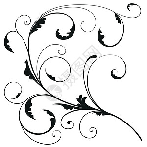 黑色漩涡花花装饰花朵装饰框架叶子漩涡芙蓉艺术品滚动黑色螺旋插画
