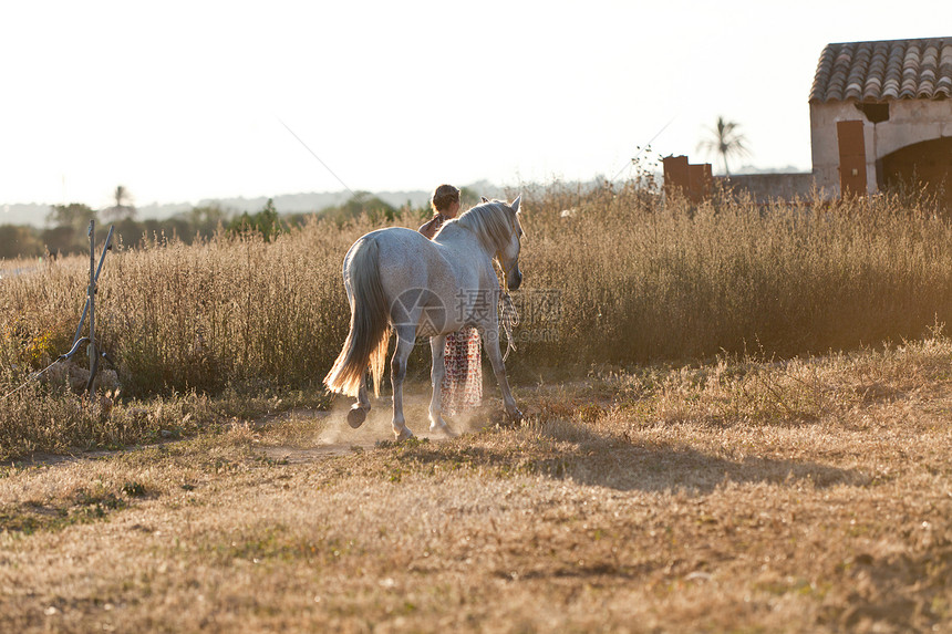 年轻妇女与马一起在路上行走成人公园马术马背哺乳动物运动国家闲暇训练小路图片
