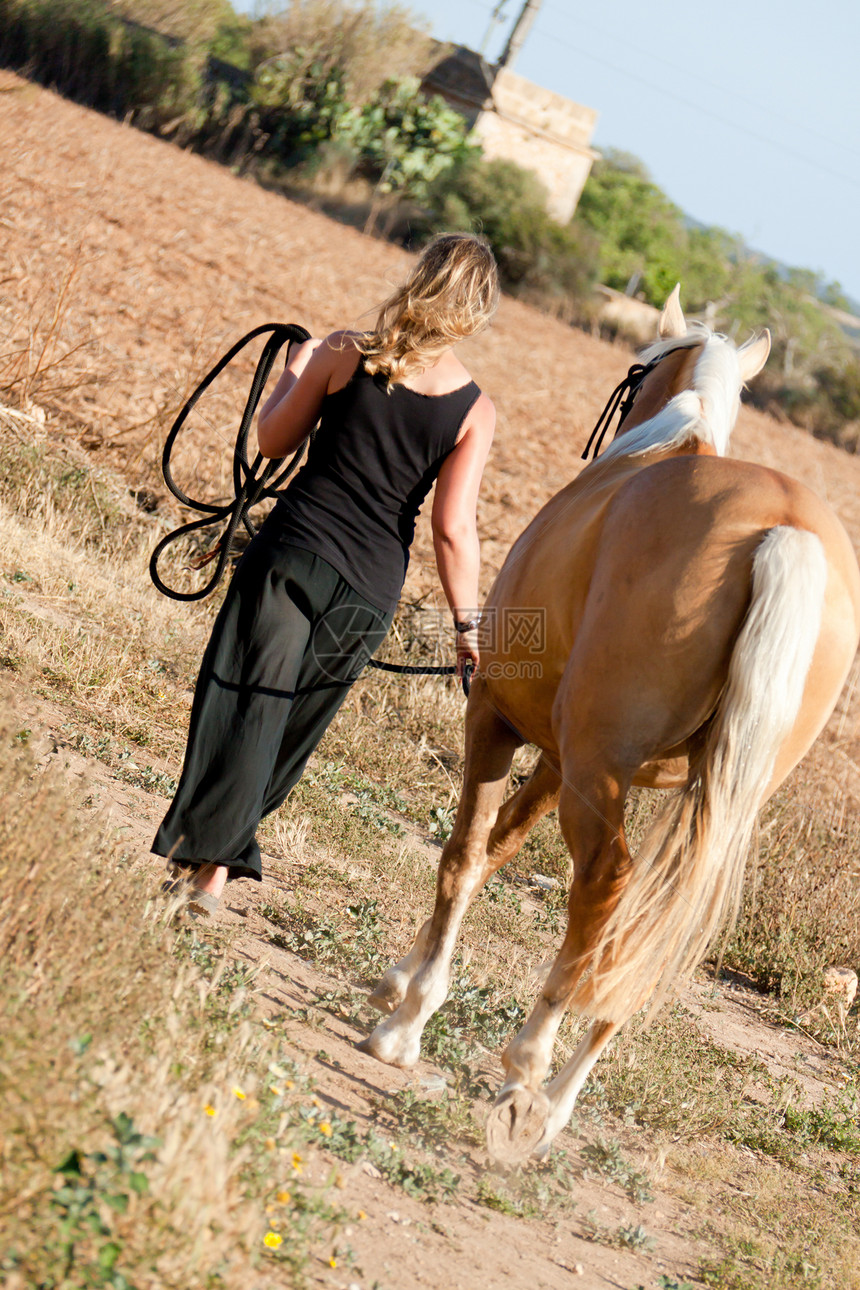 年轻妇女与马一起在路上行走骑士闲暇马背小路成人女性动物哺乳动物马术女孩图片