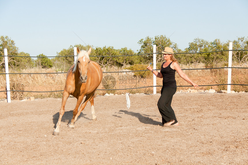 夏季在野外训练马的年轻妇女品种女士编舞赛马牧场马场马术农村帽子荒野图片