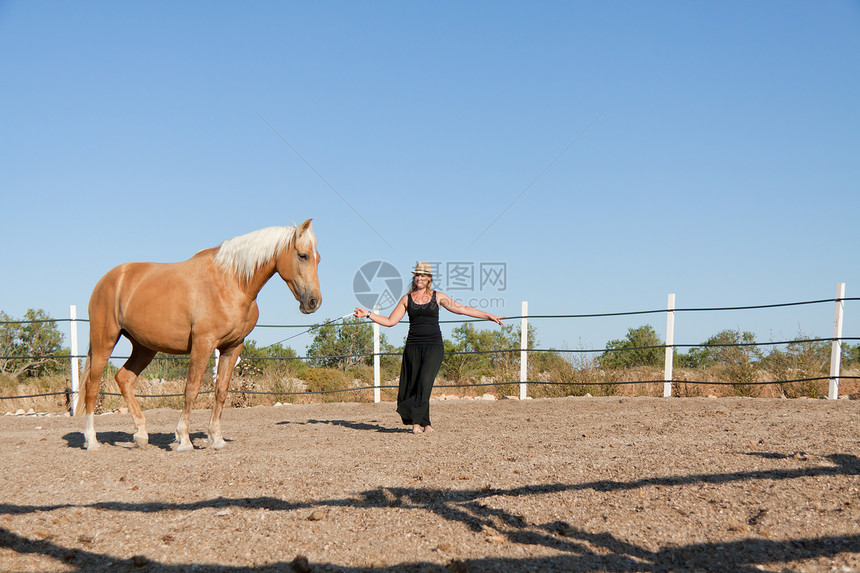 夏季在野外训练马的年轻妇女女孩运动女士帽子场地土地农场农村饲养员赛马图片